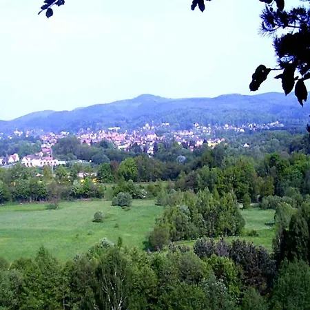 Jagdschl Sschen Apartment Bad Sachsa